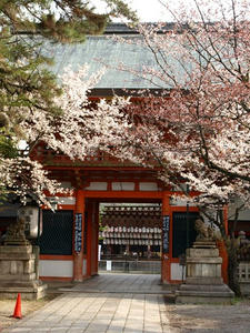 P4097893shuusei.JPG