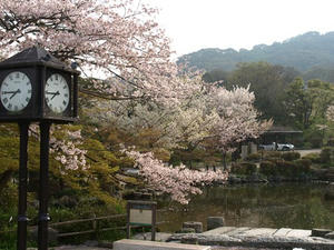 P4097899shuusei.JPG