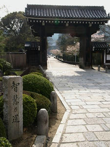 P4097904shuusei.JPG