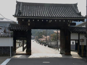 P4097917shuusei.JPG