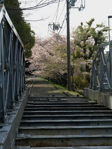 P4097946shuusei.JPG