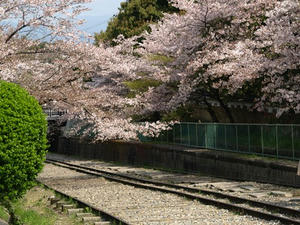 P4097959shuusei.JPG
