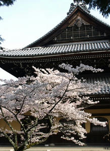 P4097992shuusei.JPG