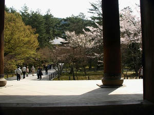 P4097970shuusei.JPG