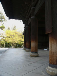P4097969shuusei.JPG
