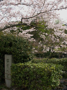 P4098008shuusei.JPG