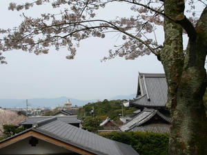 P4098017shuusei.JPG