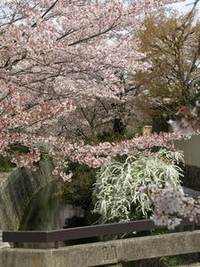 P4098035shuusei.JPG