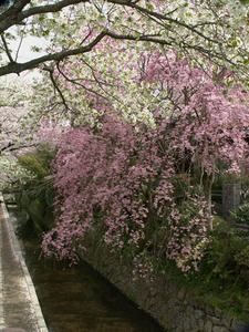 P4098041shuusei.JPG