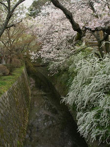 P4098062shuusei.JPG