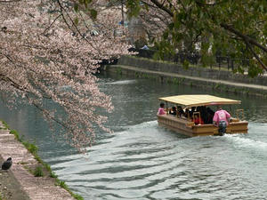 P4098072shuusei.JPG