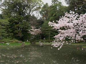 P4098120shuusei.JPG