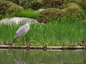 P4098121shuusei.JPG