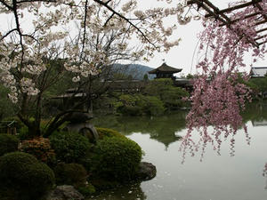 P4098146shuusei.JPG
