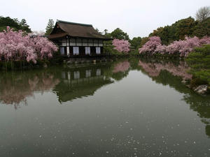 P4098166shuusei.JPG