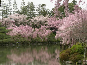 P4098155shuusei.JPG