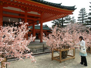 P4098171shuusei.JPG