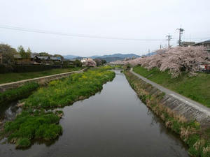 P4098204shuusei.JPG
