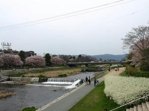 P4098205shuusei.JPG