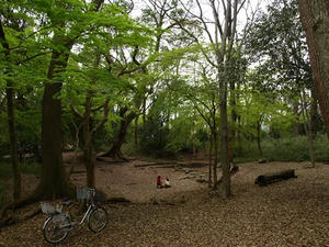 P4098220shuusei.JPG