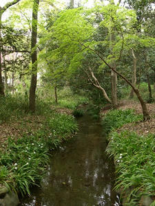 P4098223shuusei.JPG