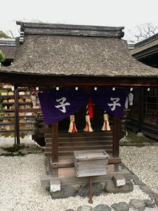 P4098243shuusei.JPG