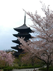 P4098277shuusei.JPG