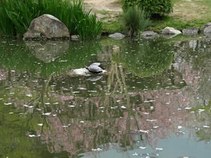 P4098290shuusei.JPG