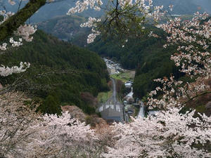 P4108357shuusei.JPG