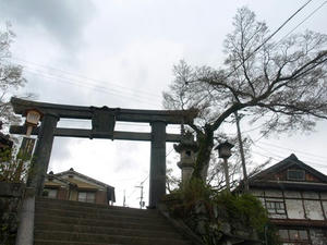 P4108373shuusei.JPG