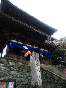 P4108376shuusei.JPG