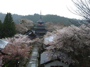 P4108388shuusei.JPG