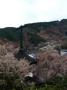 P4108393shuusei.JPG