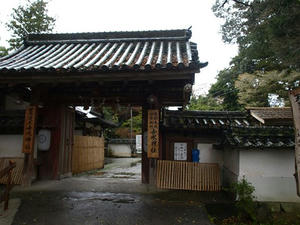 P4108399shuusei.JPG