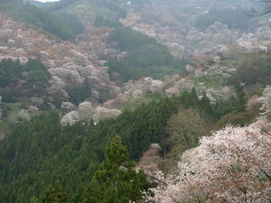 P4108413shuusei.JPG