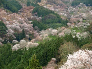 P4108406shuusei.JPG