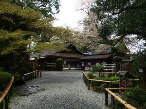 P4108418shuusei.JPG