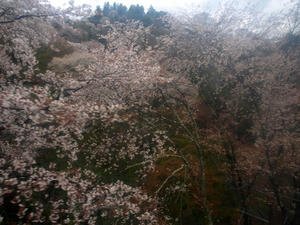 P4108429shuusei.JPG