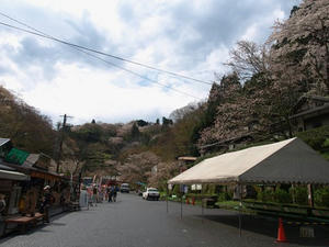 P4108436shuusei.JPG