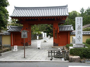 P4108507shuusei.JPG