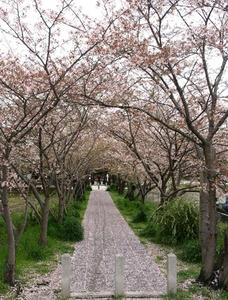 P4108459shuusei.JPG