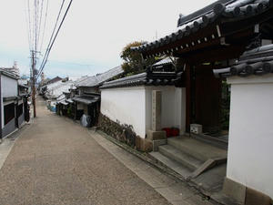 P4108533shuusei.JPG