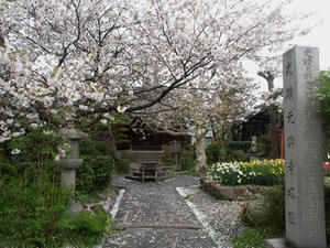 P4108563shuusei.JPG