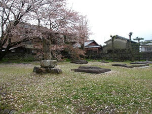 P4108565shuusei.JPG