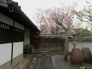 P4108577shuusei.JPG