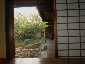 P4108584shuusei.JPG