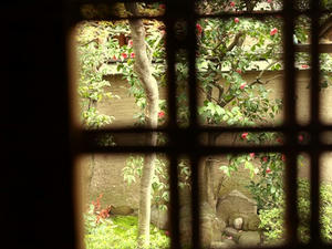 P4108595shuusei.JPG