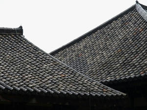 P4108620shuusei.JPG