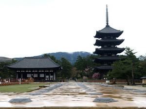 P4108663shuusei.JPG