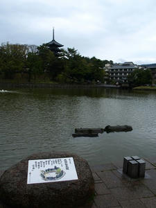 P4108634shuusei.JPG